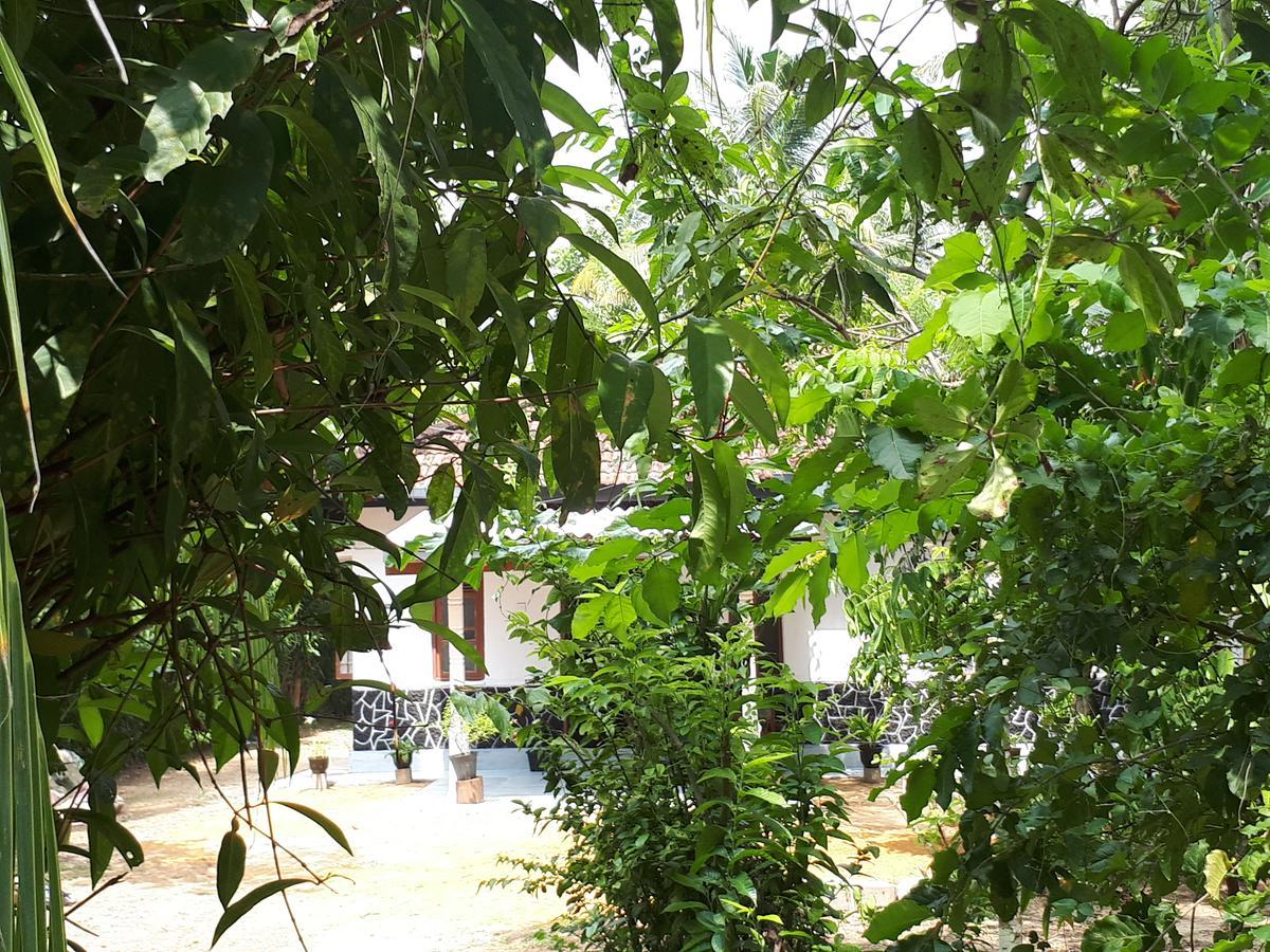 New Sam Tourist Inn Weligama Extérieur photo